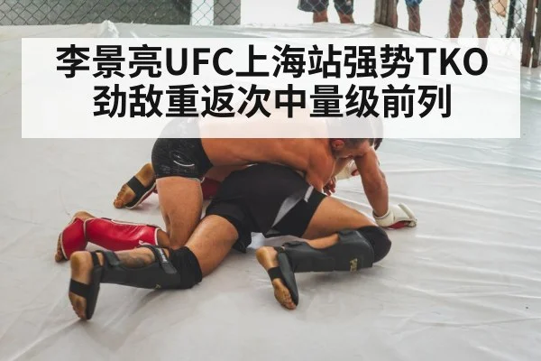 mixed martial arts fight